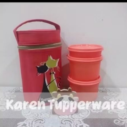 Tupperware - PRELOVED Whisker Lunch Set