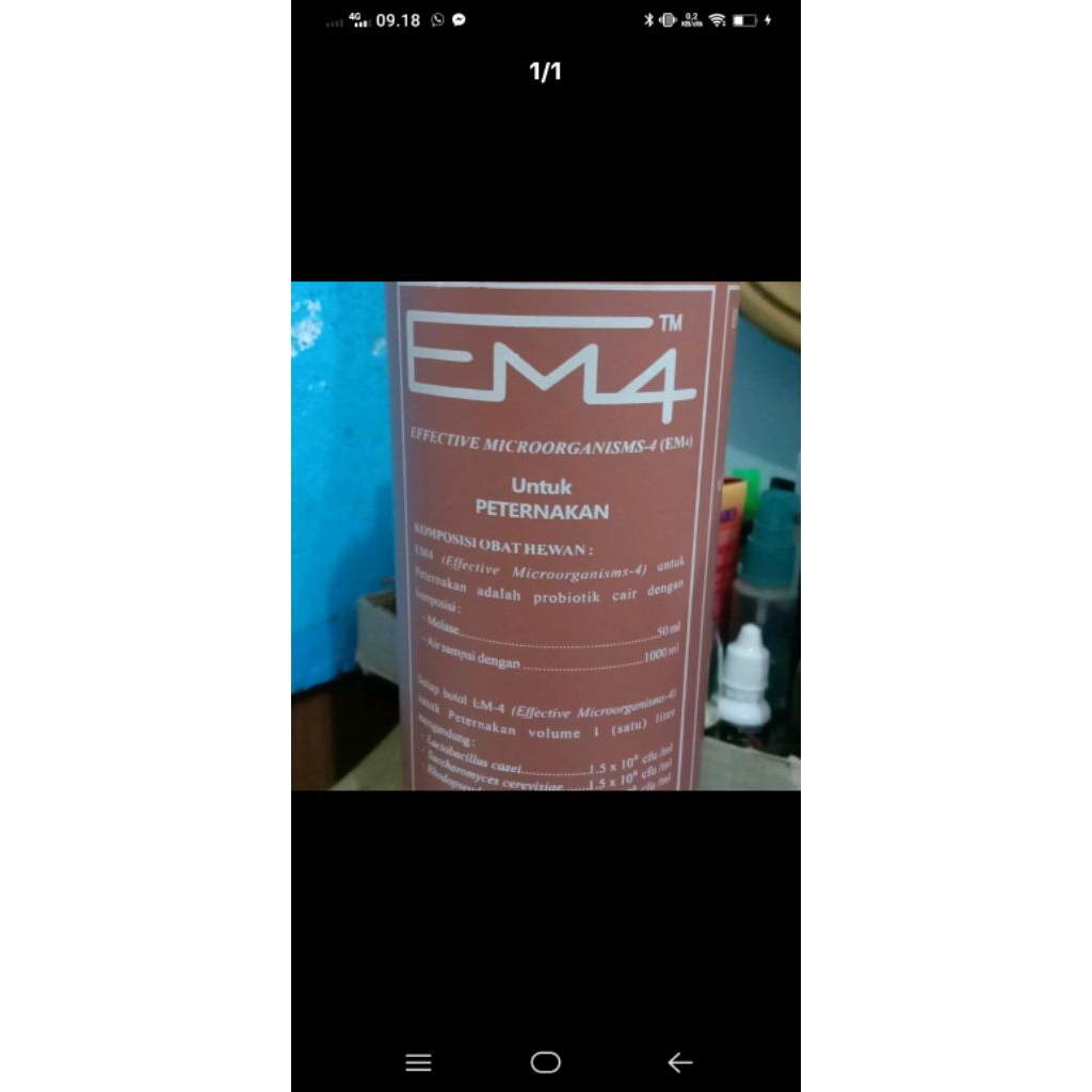 probiotik cair em4, peternakan, poc