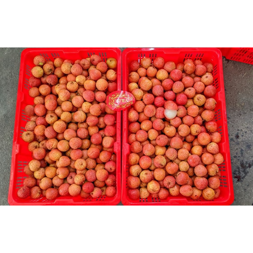 

LYCHEE MERAH IMPORT 1 KRT 5KG BERSIH MANIS
