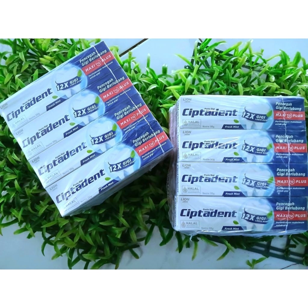 Pasta gigi ciptadent 30g isi 12pcs