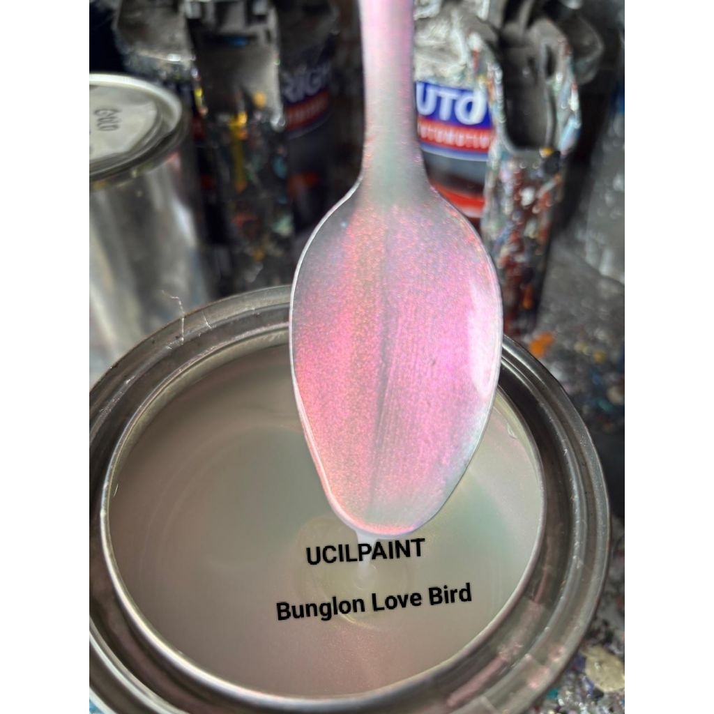 Cat Bunglon Love Bird/Bunglon Sun Blood/Bunglon Gold Green/Bunglon Tosca Green