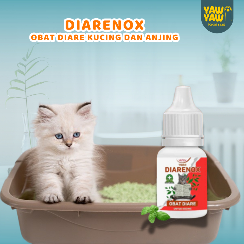 Diarenox Obat Mencret Anti Diare Anak Kucing Venox Anti Diare Mencret Cat Kitten Adult