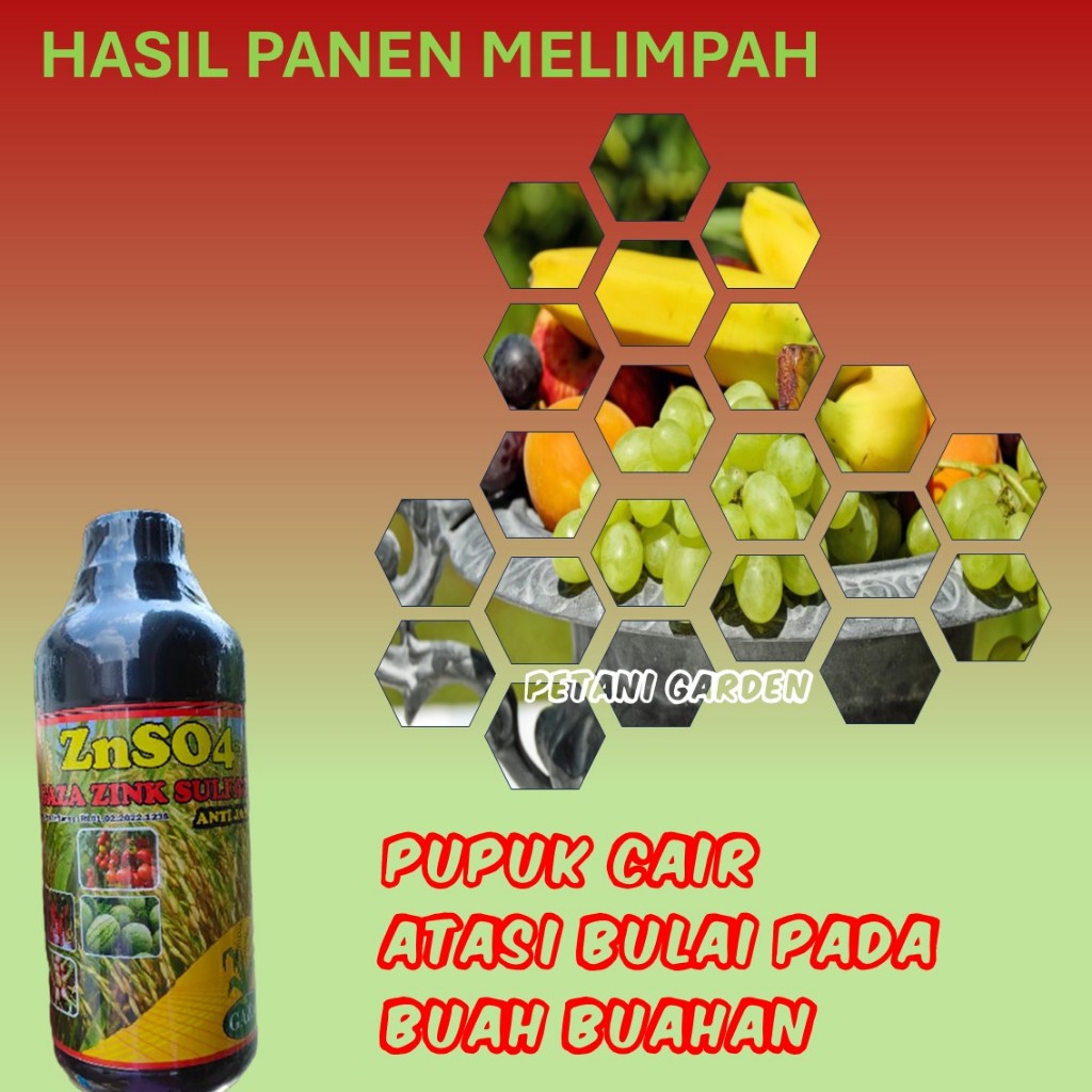Pupuk ZnSO Cair Untuk Buah-Buahan | Booster Buah Lebat Manis Besar Berkualitas Tinggi Tanaman Sehat 