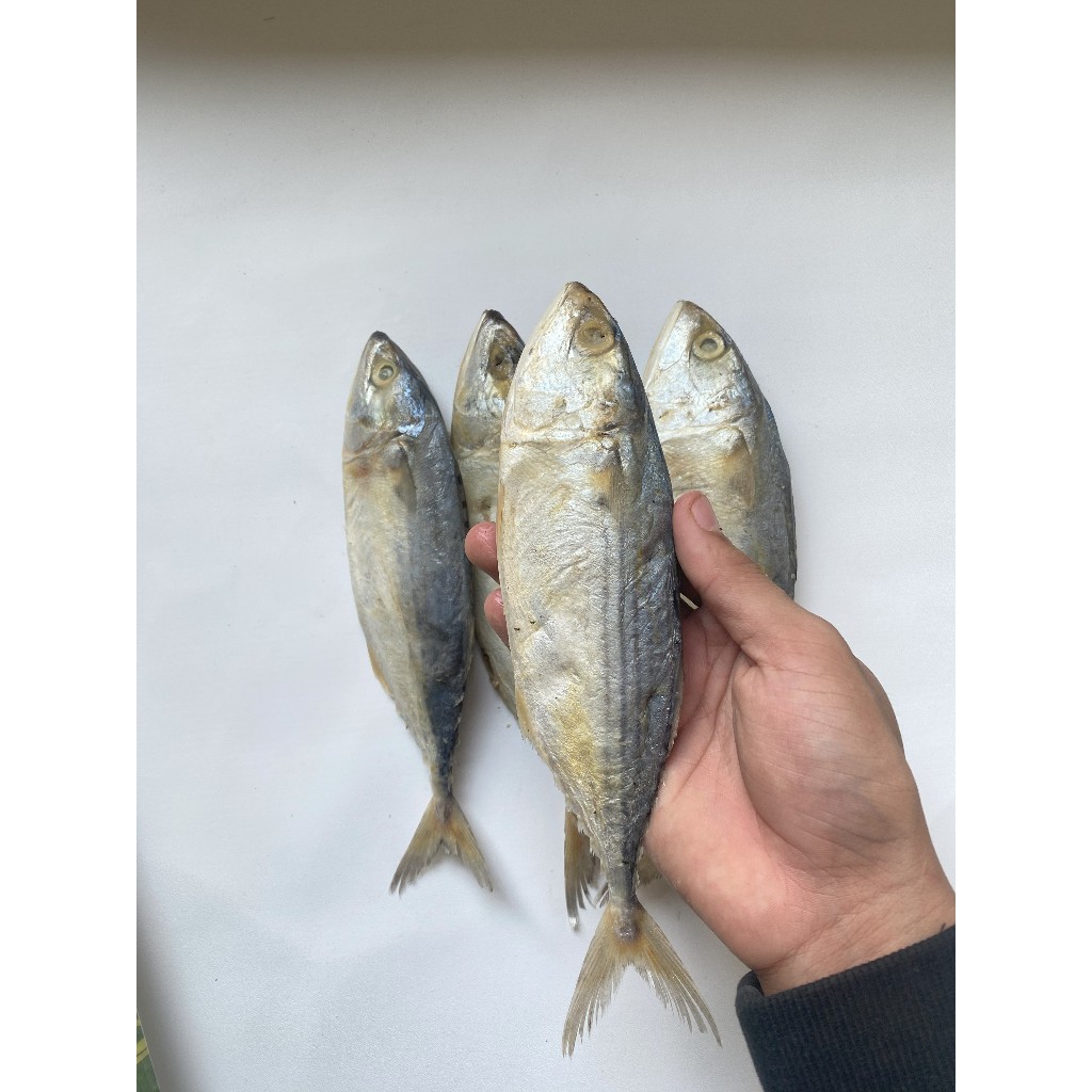 

IKAN ASIN PEDA BANJAR JUMBO GRADE A 250-1KG