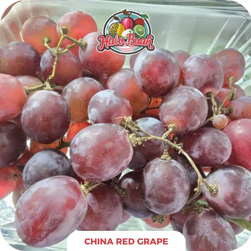

Buah Anggur Cina Ada Biji 250 gr - 1kg