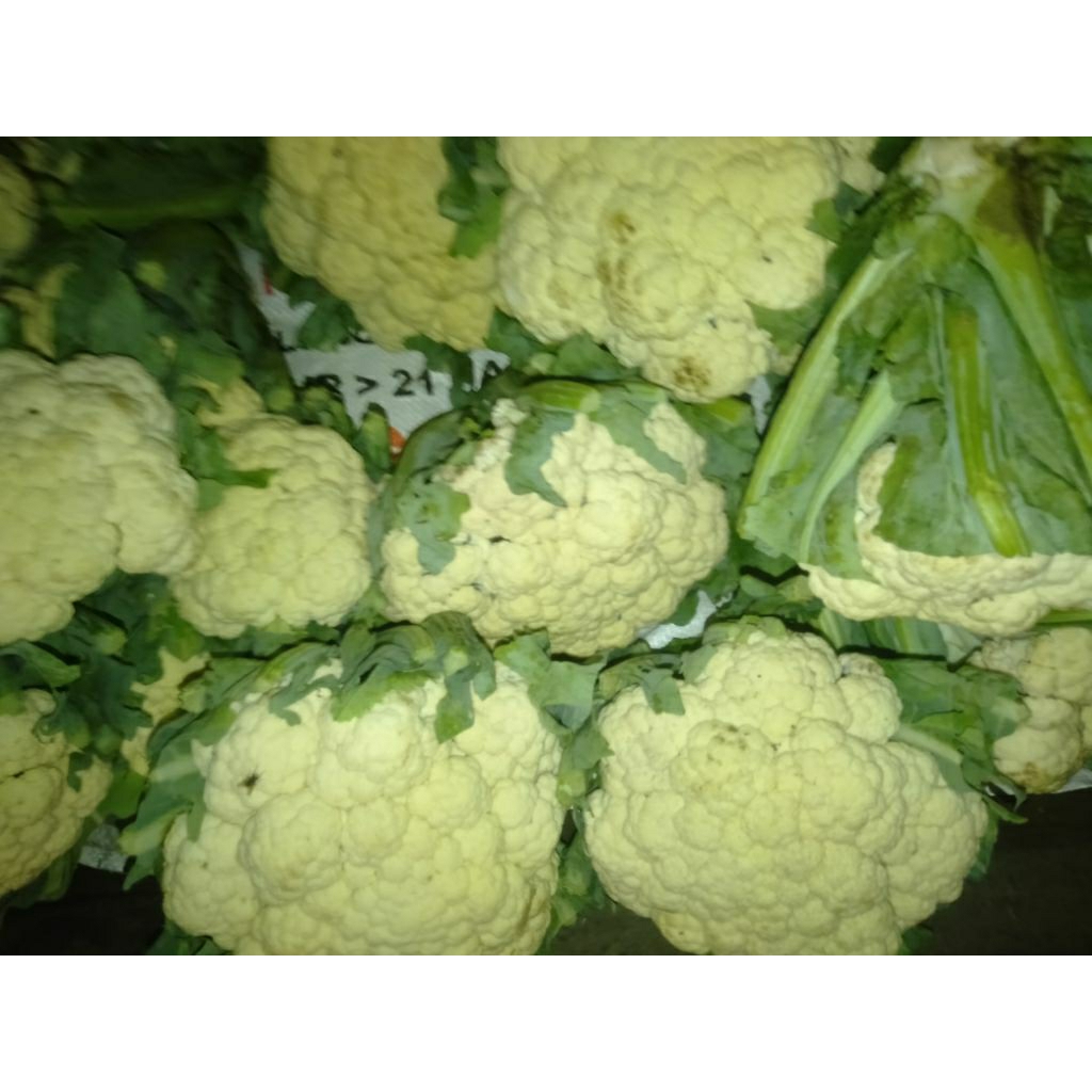 Sayur Kembang Kol / Bunga Kol segar