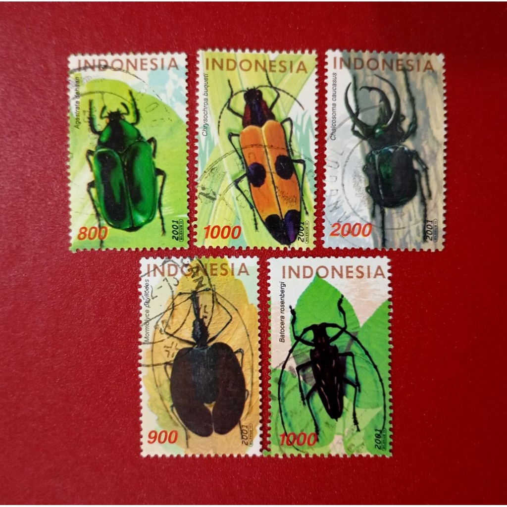 

PRANGKO INDONESIA KUMBANG