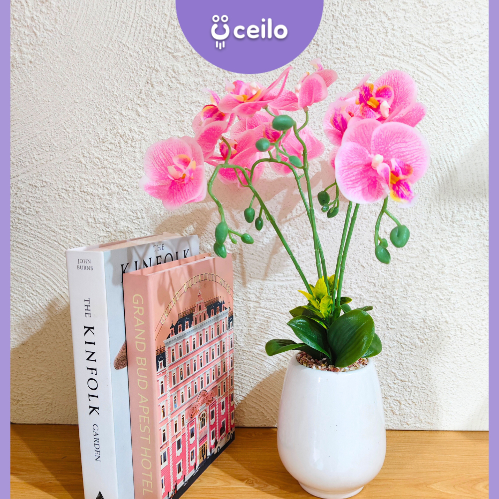 CEILO BUNGA ANGGREK IMITASI | ANGGREK LATEX ARTIFICIAL | BUNGA HIAS PLASTIK | BUNGA HIAS SUDUT | GIF