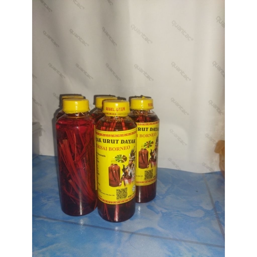 minyak urut dayak perisai