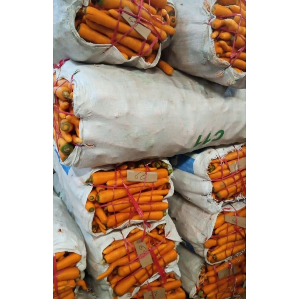 

Wortel lokal mix ukuran besar sedang 1kg - Carrot buah sayur sehat masak rumah ASEV 1 kg