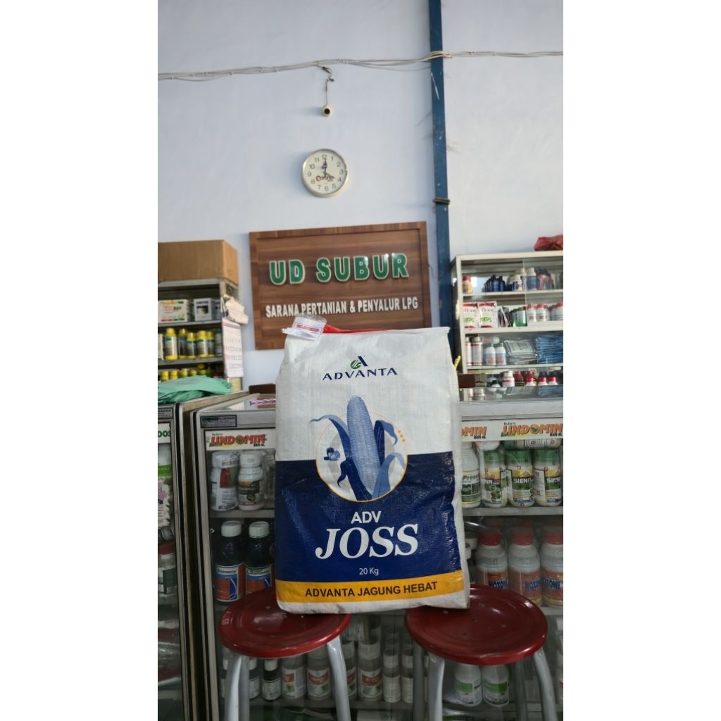 BENIH JAGUNG HIBRIDA, ADV JOSS 1 BOX (20x1kg)