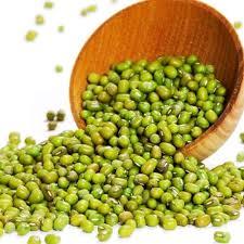 

JUAL BENIH KACANG HIJAU/BIBIT KACANG HIJAU VIMA4 VIMA5