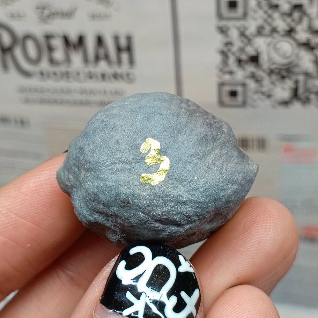 Muncang Adu Manohara Childs kode 3