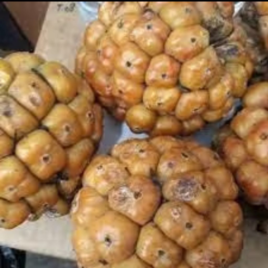 

Asam Sihala/Asam Cekala/Asam Patikala Segar 1 kg