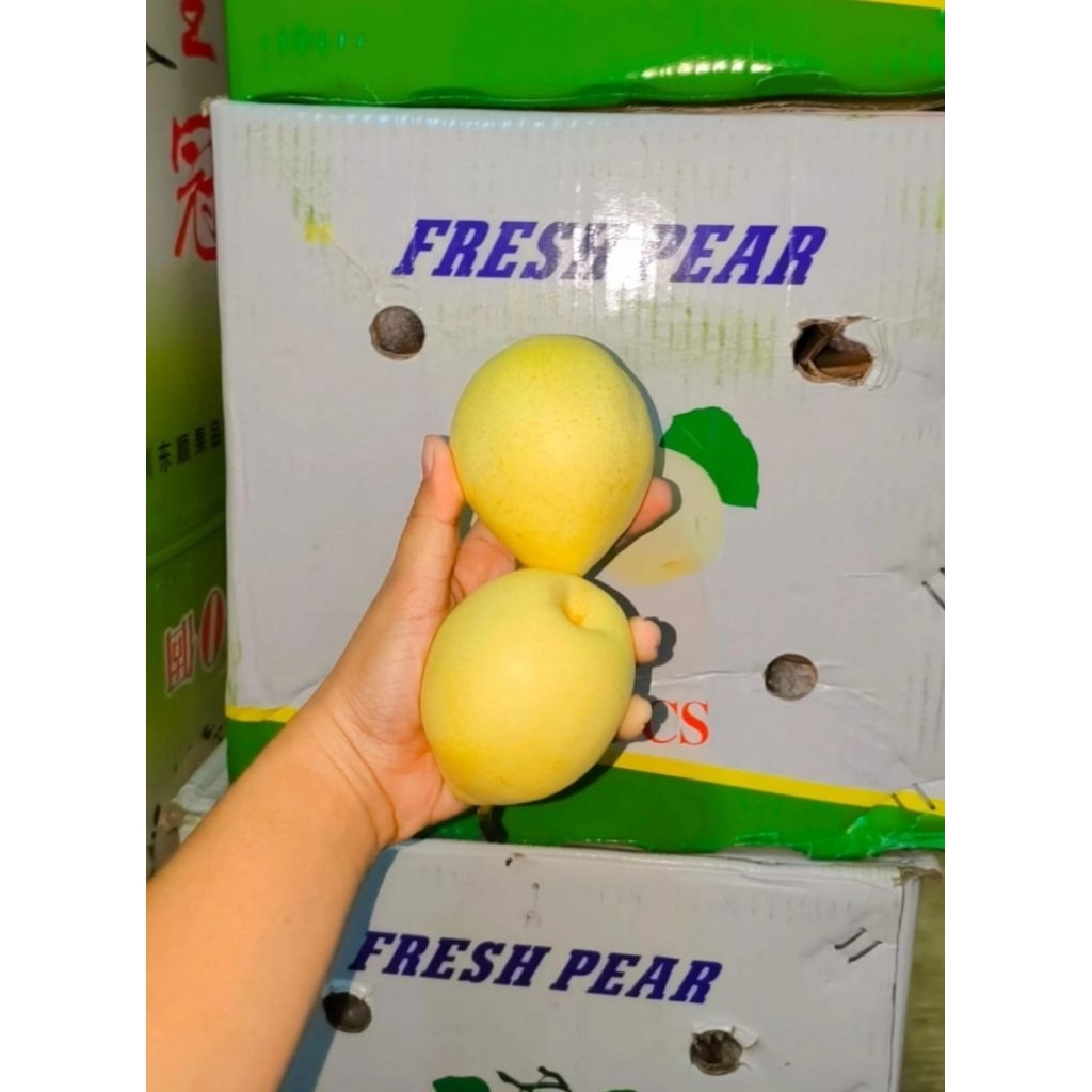 

buah pear century super 2 pcs, buah pir century super 2 pcs fresh manis
