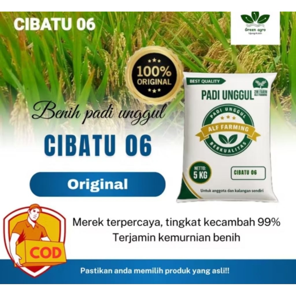 Bibit unggul Cibatu 06