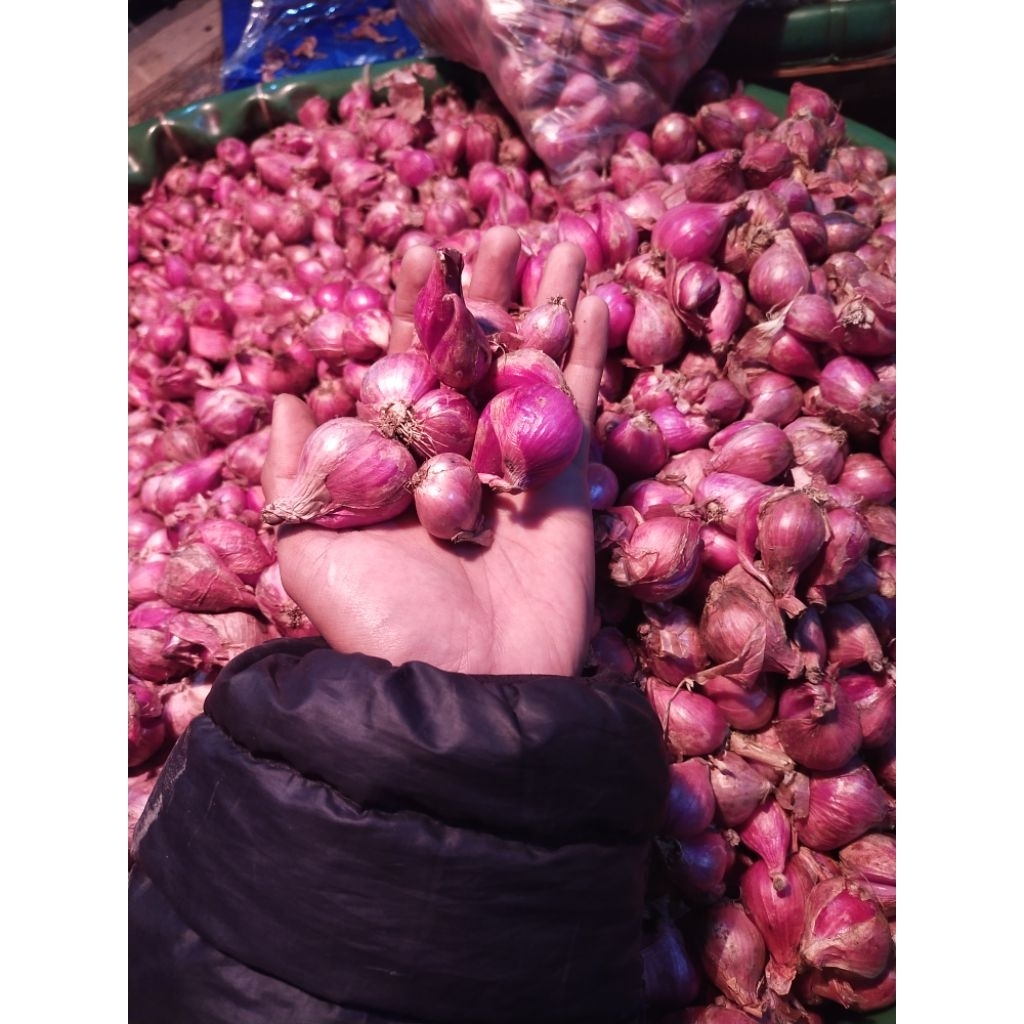 

Bawang Merah 1Kg