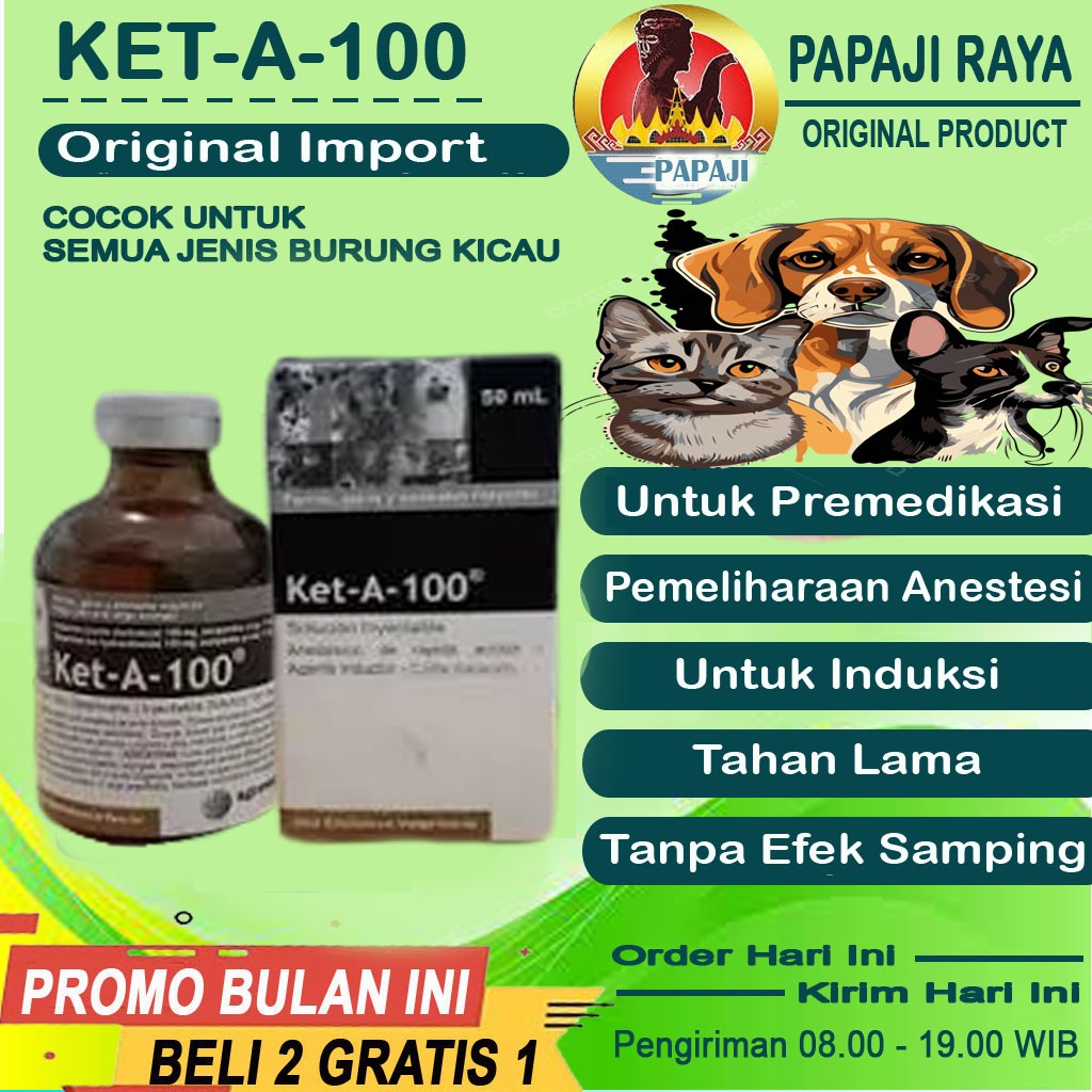 Ket-A-100 Original Import Bius Untuk Hewan Ampuh