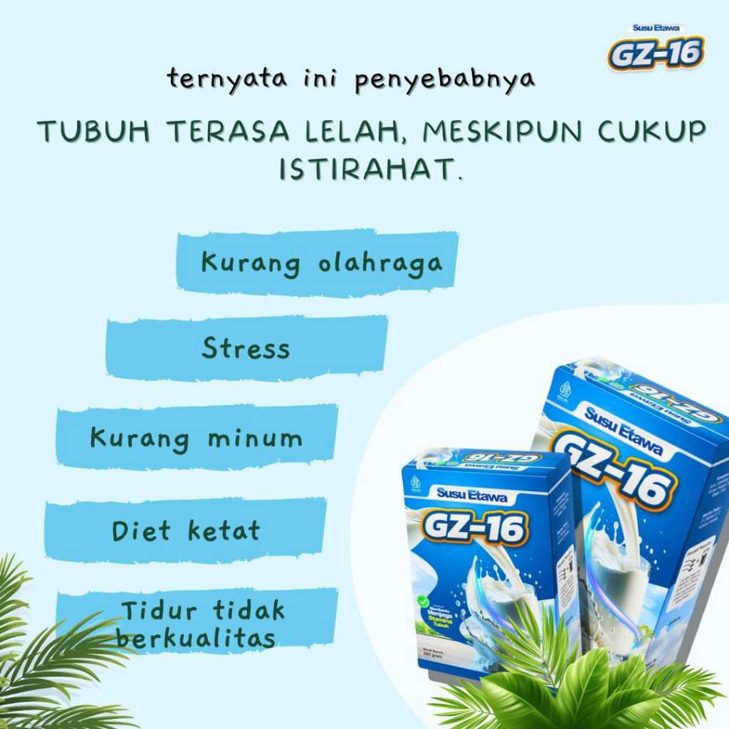 

Susu Kambing Etawa Asli Grade A GZ-16 50% Susu Kambing Etawa yang Tidak Prengus ( Free MADU )