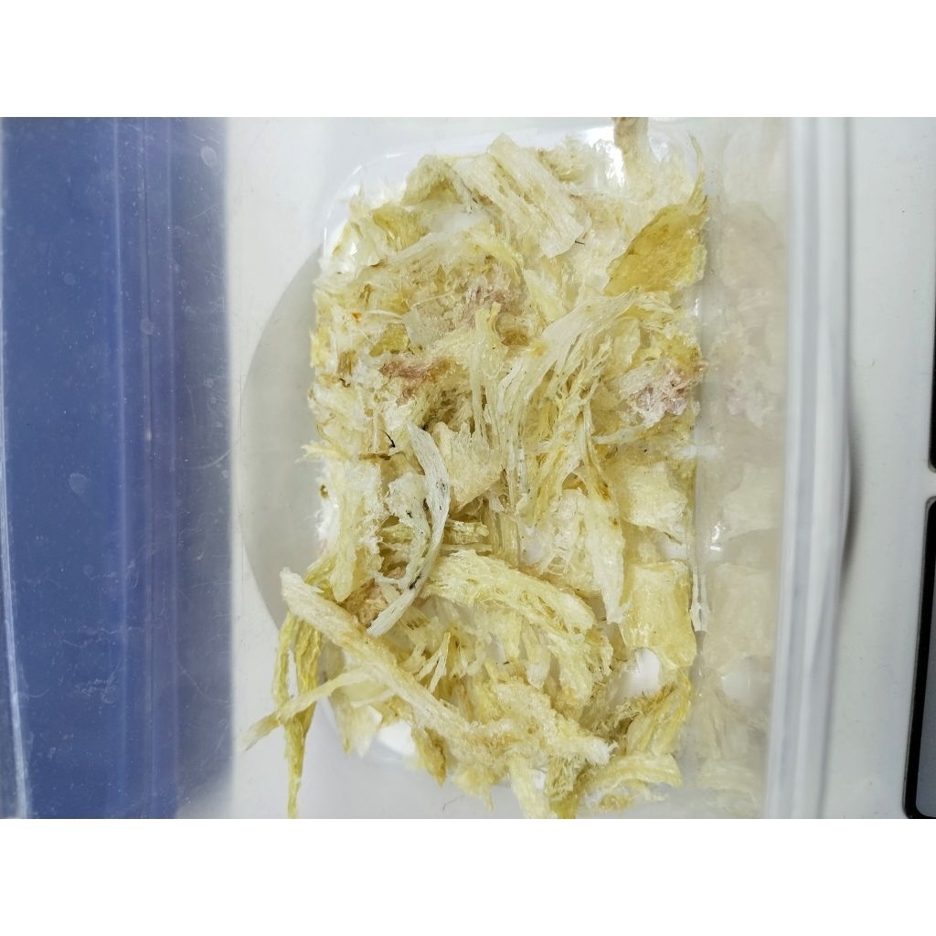 

sarang burung walet patahan kecil flek berat 27 gram