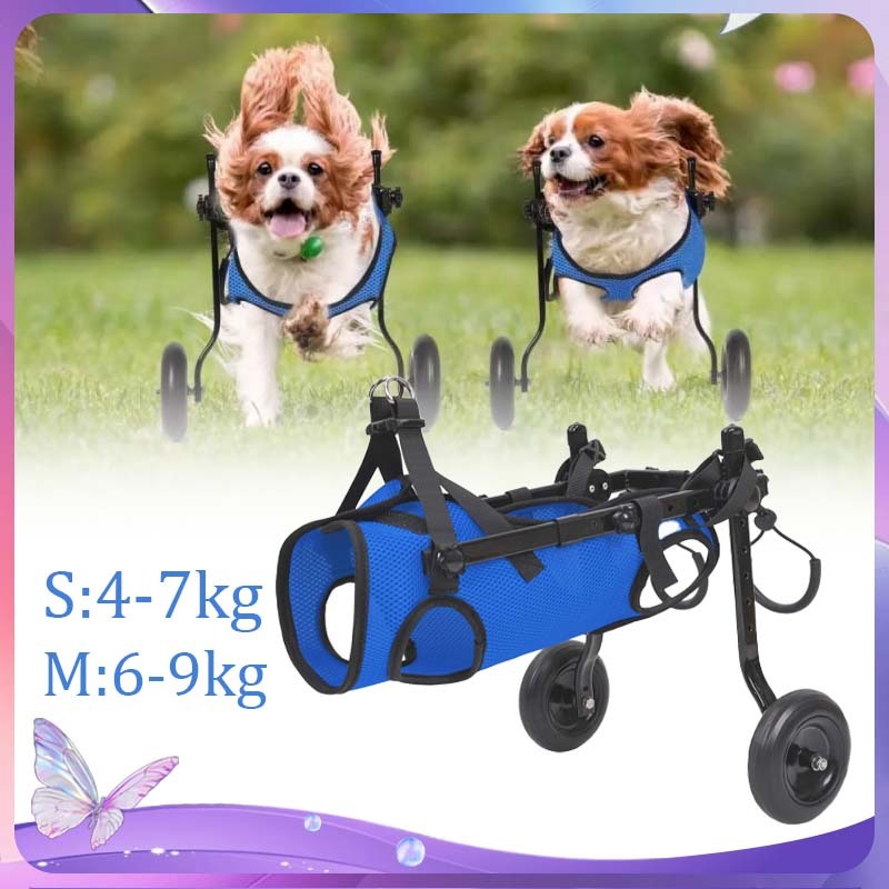 Kursi Roda Anjing Lumpuh Wheelchair Kucing Kursi Roda Untuk Kucing Cat Dog Hind Legs Wheelchair Dog 