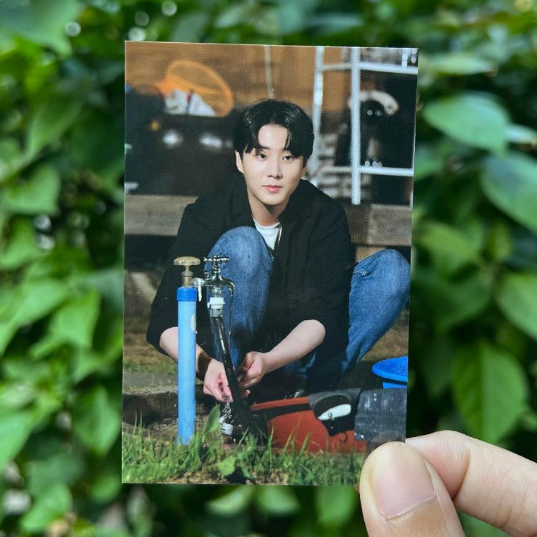 YOUNGK Summer Melody MD POB Benefit Photocard PC OFFICIAL DAY6