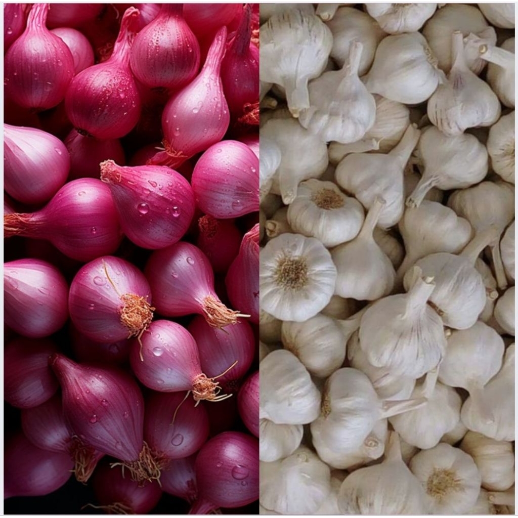 

Bawang Putih Mix Bawang Merah 1Kg Bumbu Masakan Bumbu Nusantara Asli Fresh dan Kering