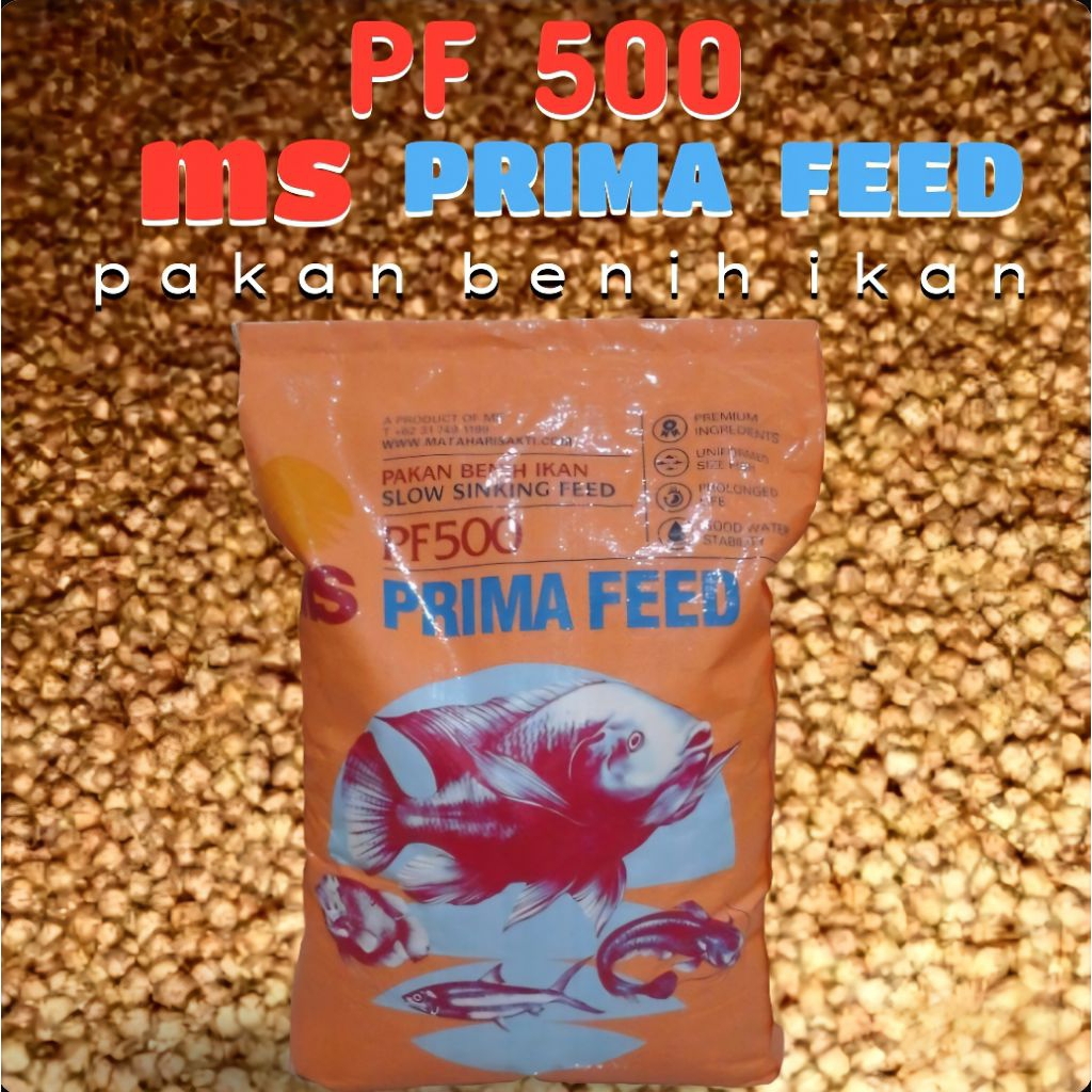 Pakan Ikan PF 500 MS Prima Feed Pakan Benih Ikan Apung Berkualitas Tinggi Cepat Besar