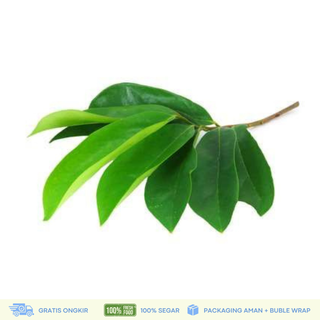 

Daun Sirsak 100 Helai Untuk Kesehatan Tubuh