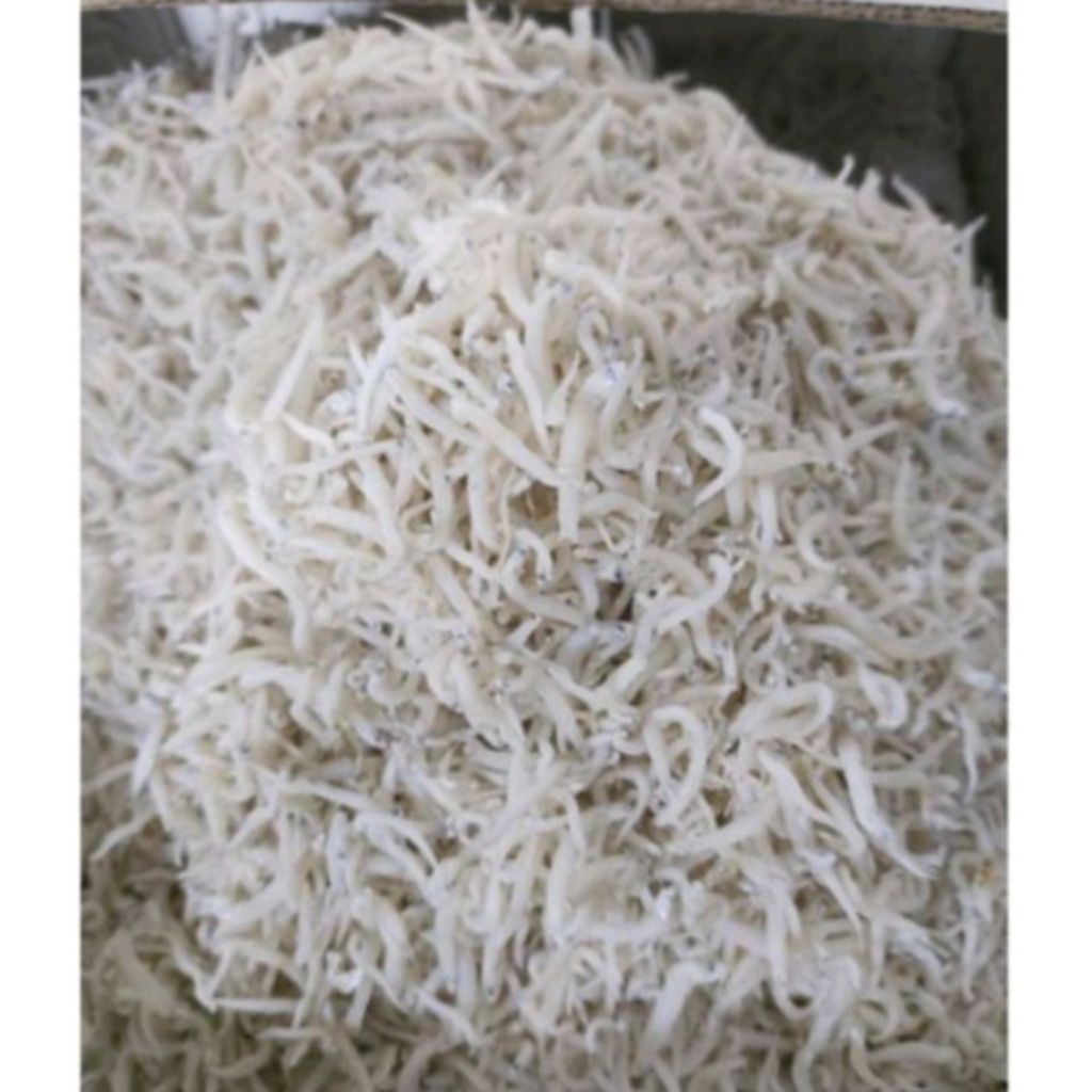 

ikan teri nasi medan