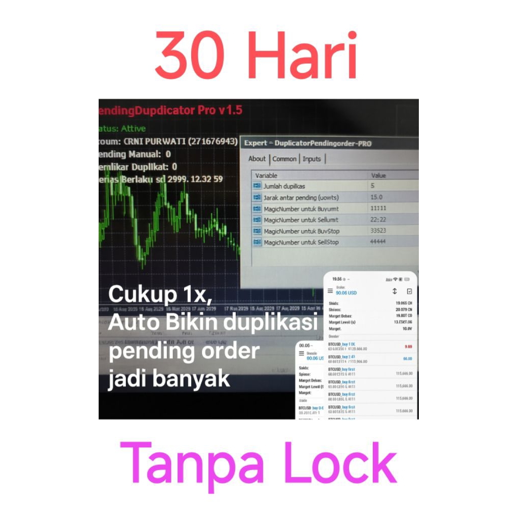 EA Duplicator pending order : 30 Hari