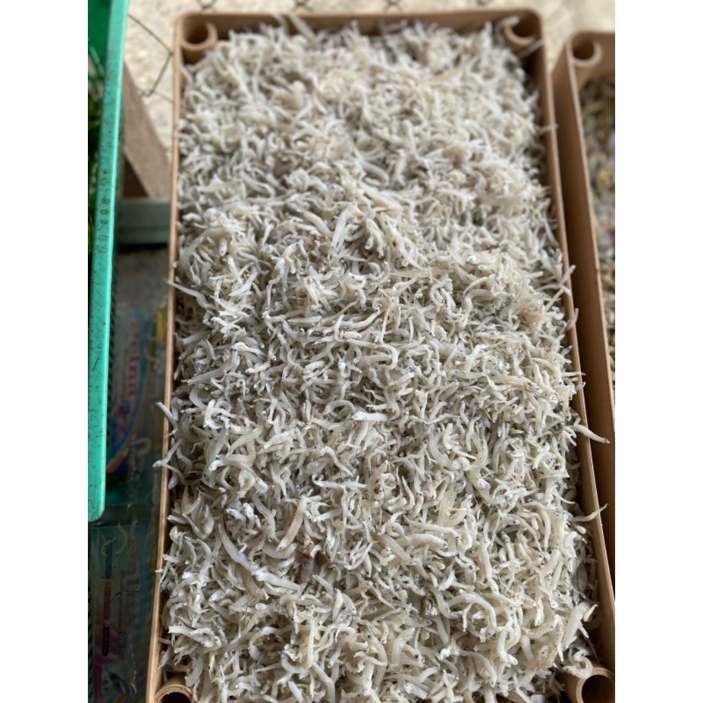 

teri medan di harga 1 kg