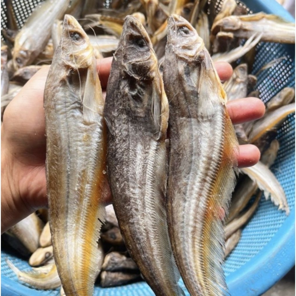 Jual LAIS Ikan Asin Seafood Kering
