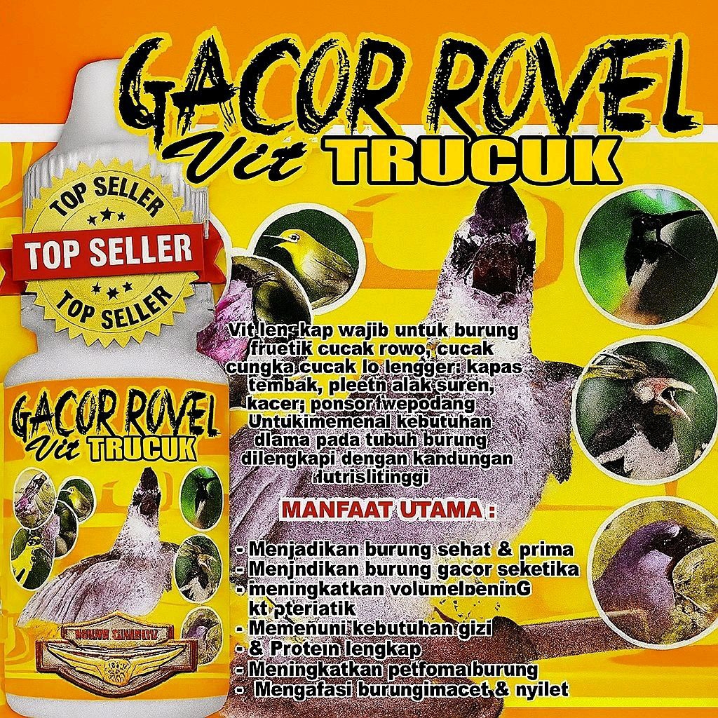 GACOR ROVEL TRUCUK BMW VITAMIN BURUNG BIAR GACOR DOPING TRUCUKAN LANGSUNG GACOR GRANDONG TRUCUKAN RO
