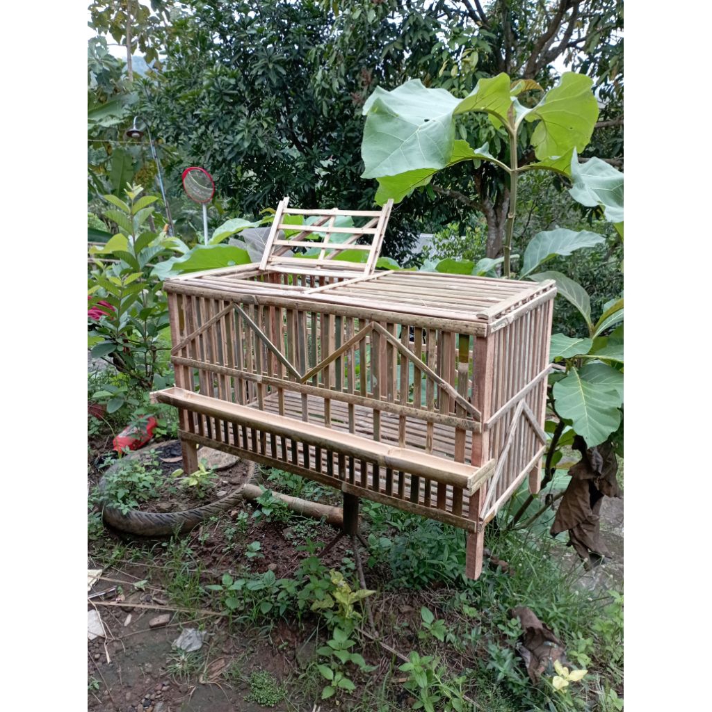 Kandang Ayam Pembesaran Bambu 80×40×40 untuk Anak Ayam + Tempat Pakan