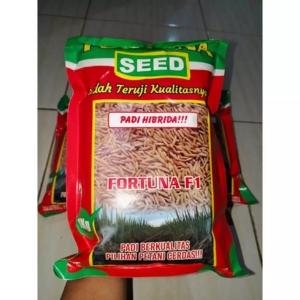 TERLARIS..  Benih Padi Hibrida FORTUNA SEED F1 Original 100% Kemasan 1 kg.