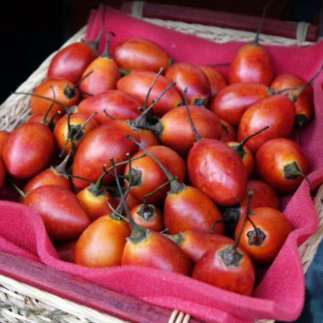 

Terong belanda (500gr)