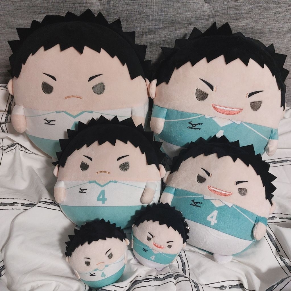 fuwakororin iwaizumi hajime haikyuu