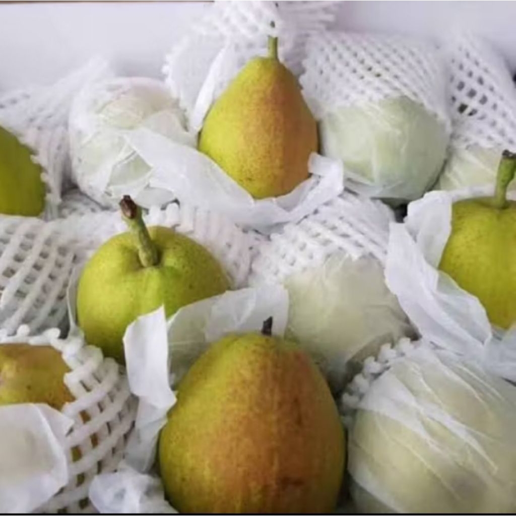 

PEAR XIANG LIE IMPORT MANIS GARING ( 1 KG )