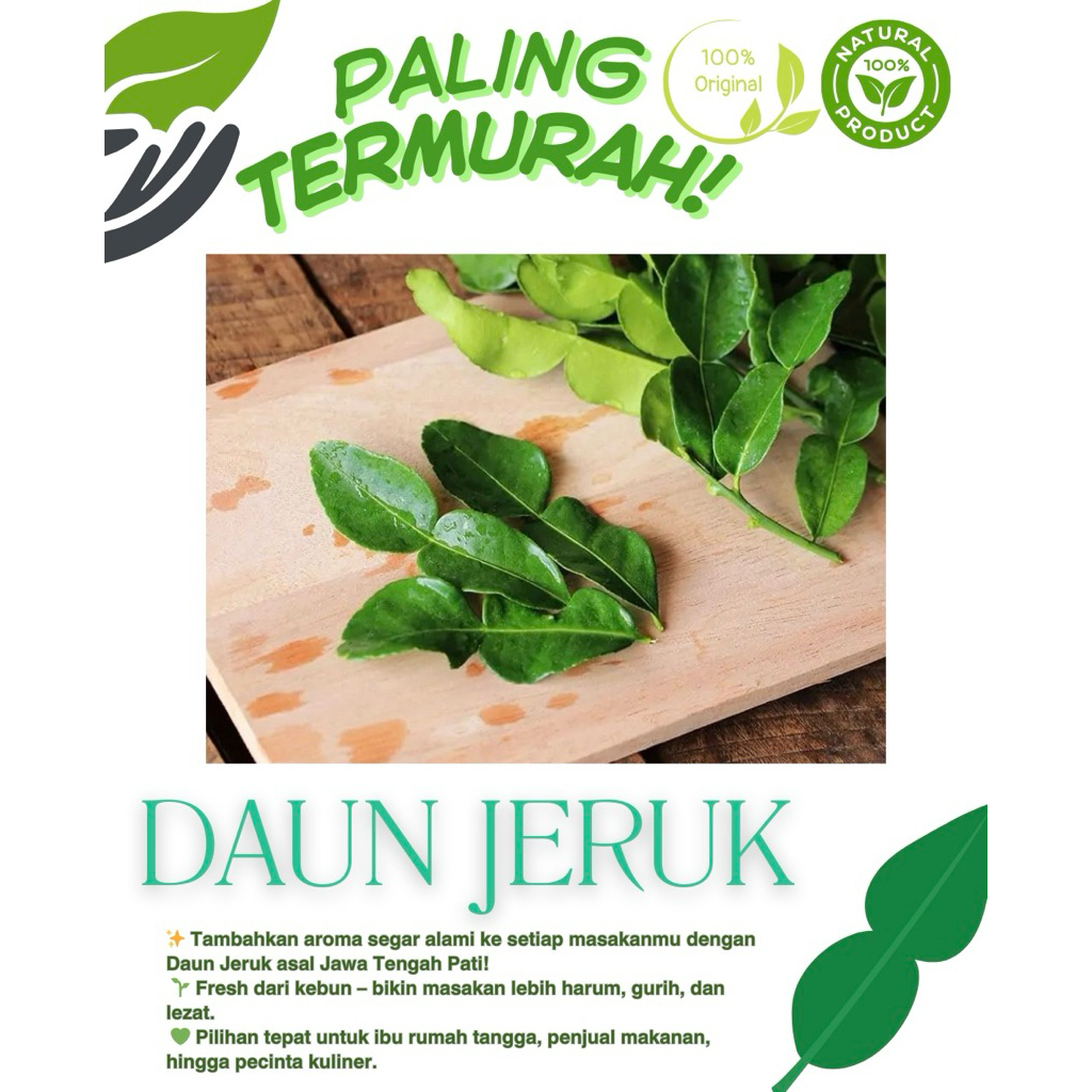 

Daun Jeruk Segar Asli Pati Jawa Tengah – Bumbu Masakan Aroma Khas