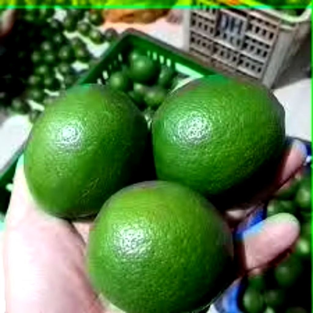LEMON CALIFORNIA 1kg