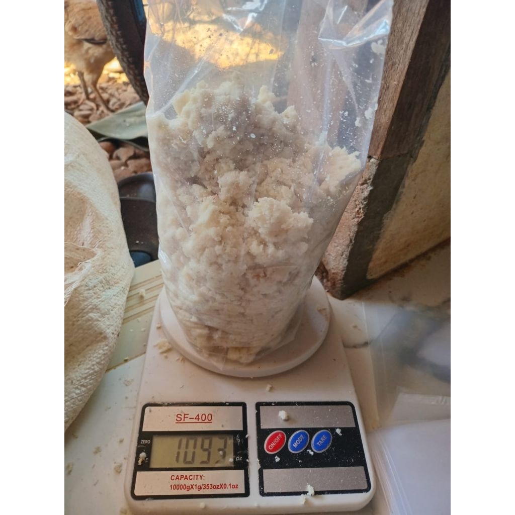 ampas tahu basah 1kg untuk pakan hewan