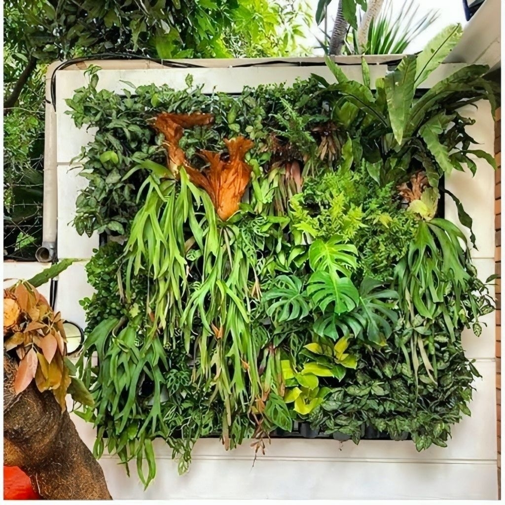 Paket Vertical Garden