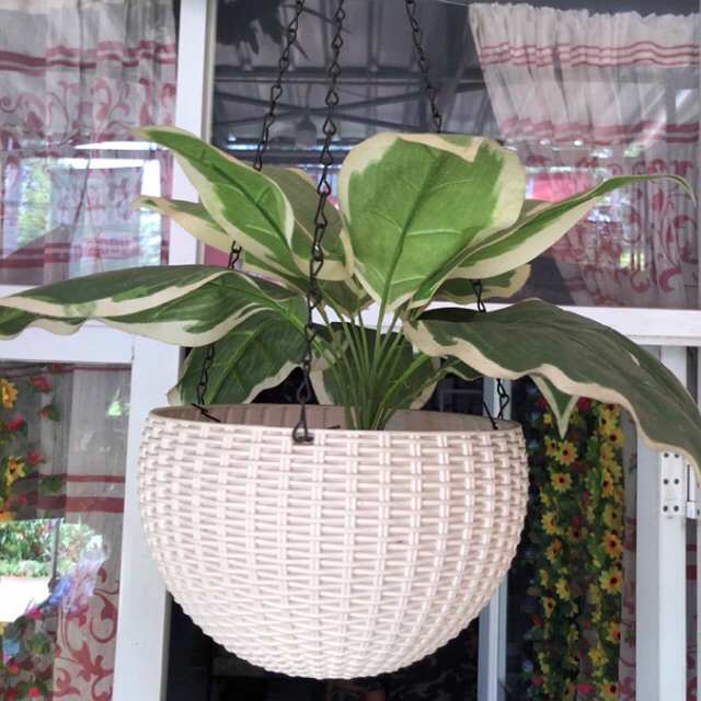 Tanaman hias gantung bahan plastik silikon