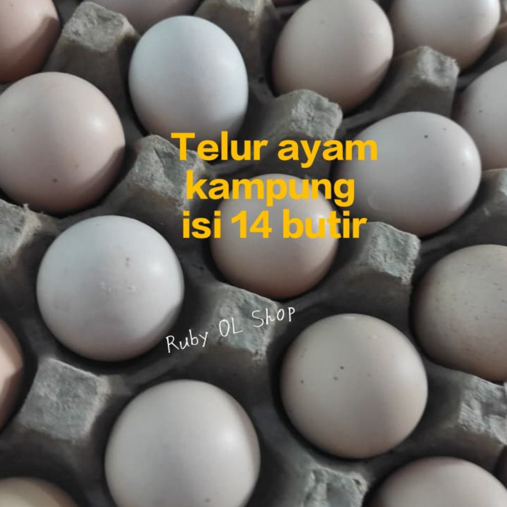 

Telur Ayam Kampung Isi 14 Butir || Telor ayam kampung termurah