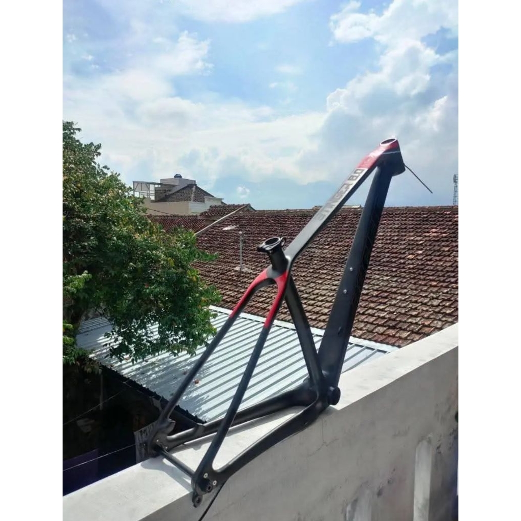 Frame Carbon 29er 29 er Full Carbon size S-M Twitter Pacific Mtb