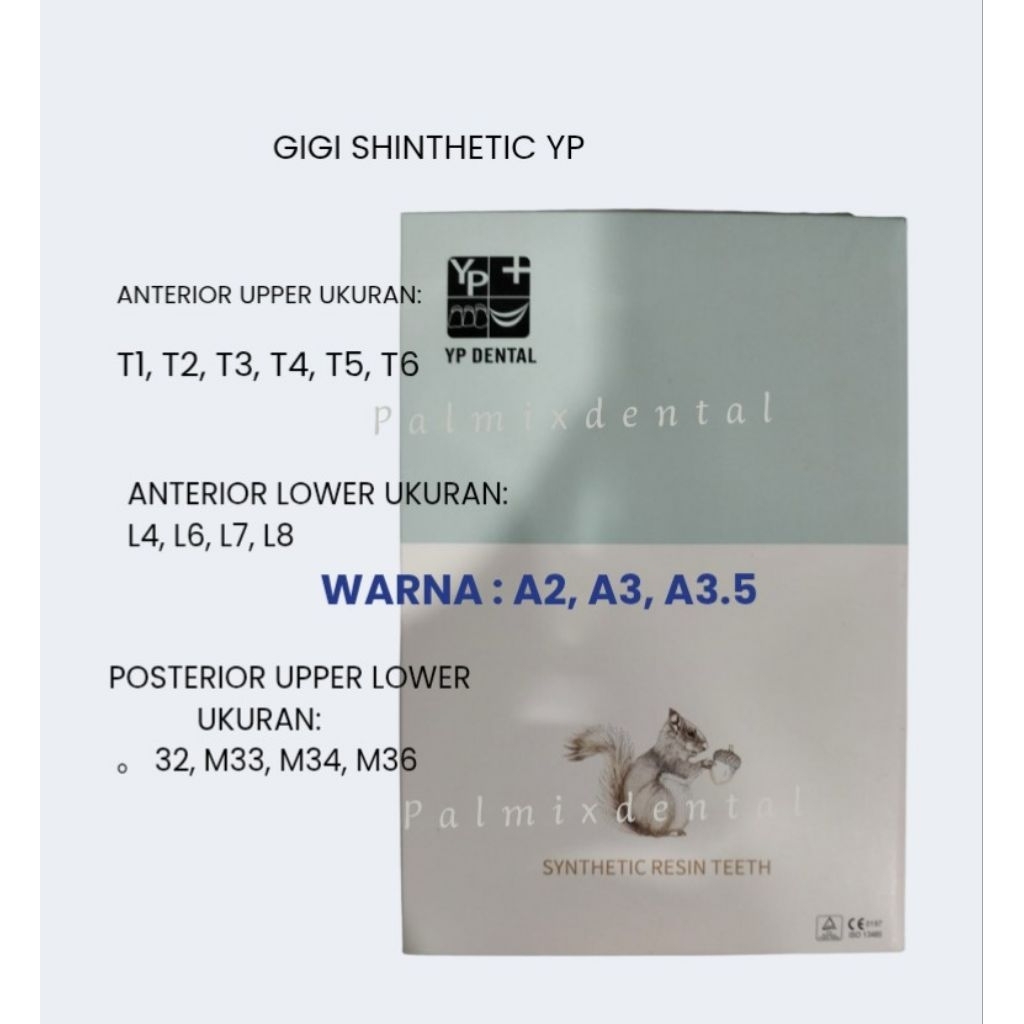 GIGI SYINTHETIC YP DENTAL ANTERIOR UPPER/LOWER