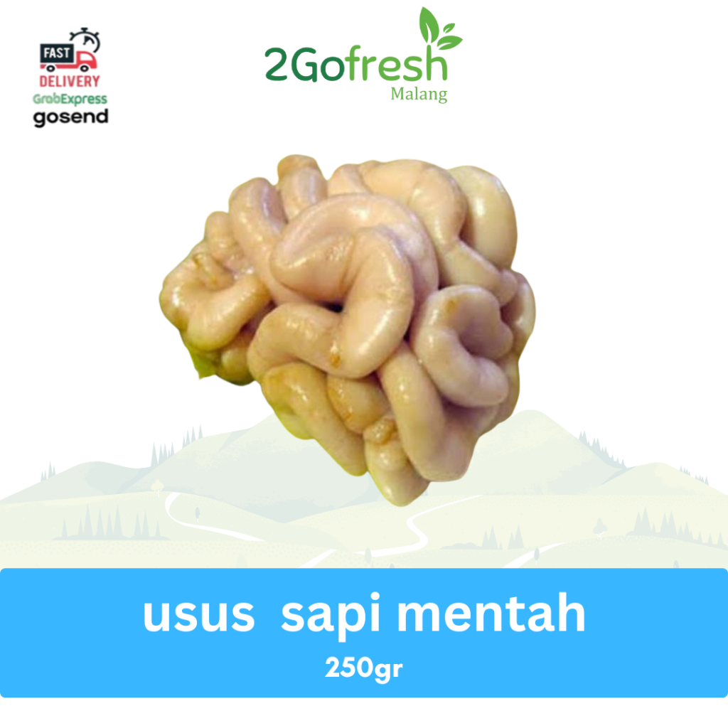 Usus Sapi Mentah