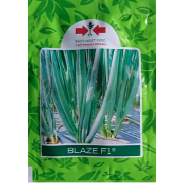 Bawang Daun BLAZE @ 10Gr / Bks