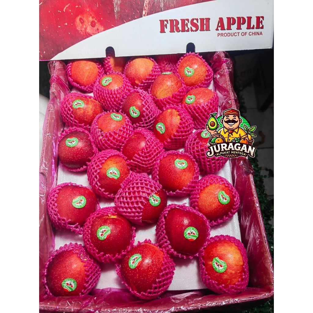 

Apel Fuji Import Fresh / Apel Royal Gala Import Fresh